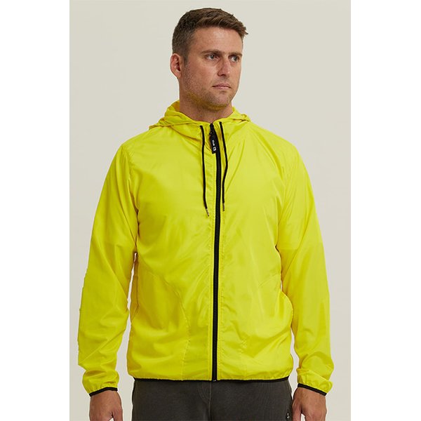 wss11038 copia